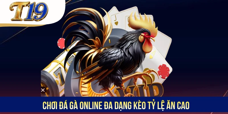 Chơi đá gà online đa dạng kèo tỷ lệ ăn cao