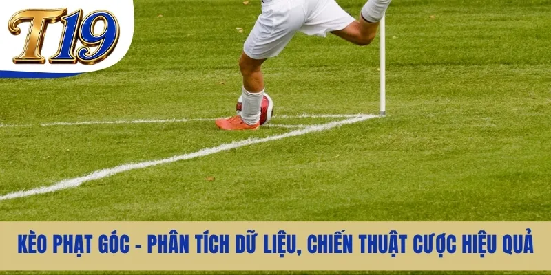 Kèo Phạt Góc - Phân Tích Dữ Liệu, Chiến Thuật Cược Hiệu Quả