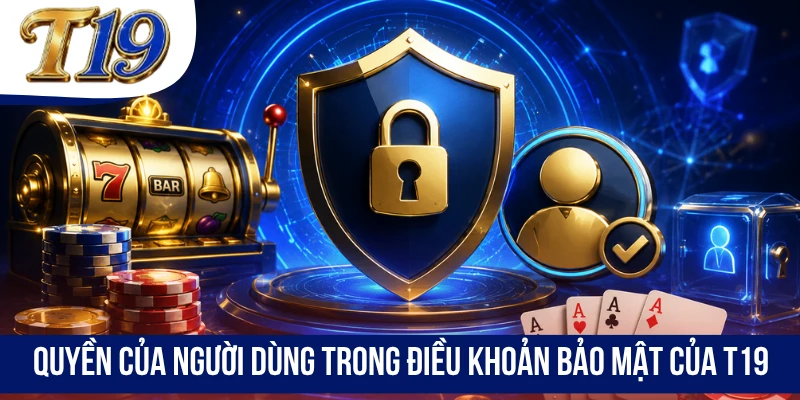Quyền của người dùng trong điều khoản bảo mật của T19