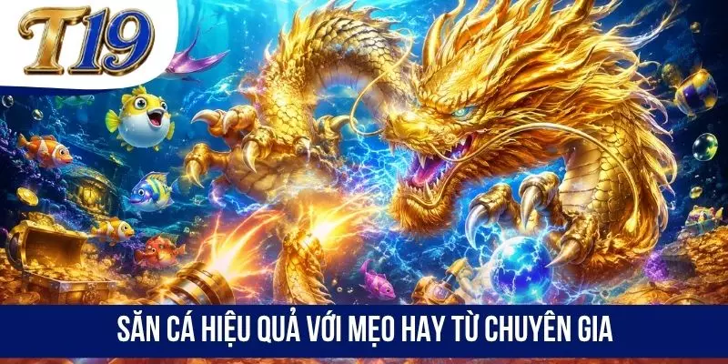 Săn cá hiệu quả với mẹo hay từ chuyên gia